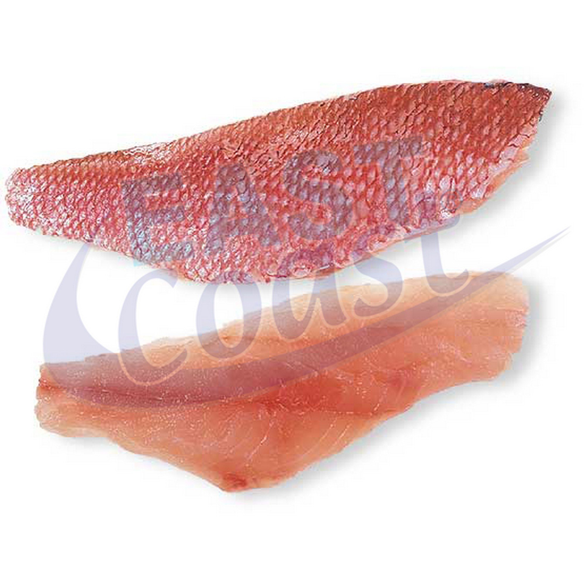 Red snapper filèt 500/800   10kg