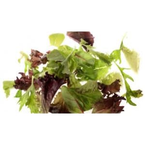 Salat baby blad økol. 125g   stk