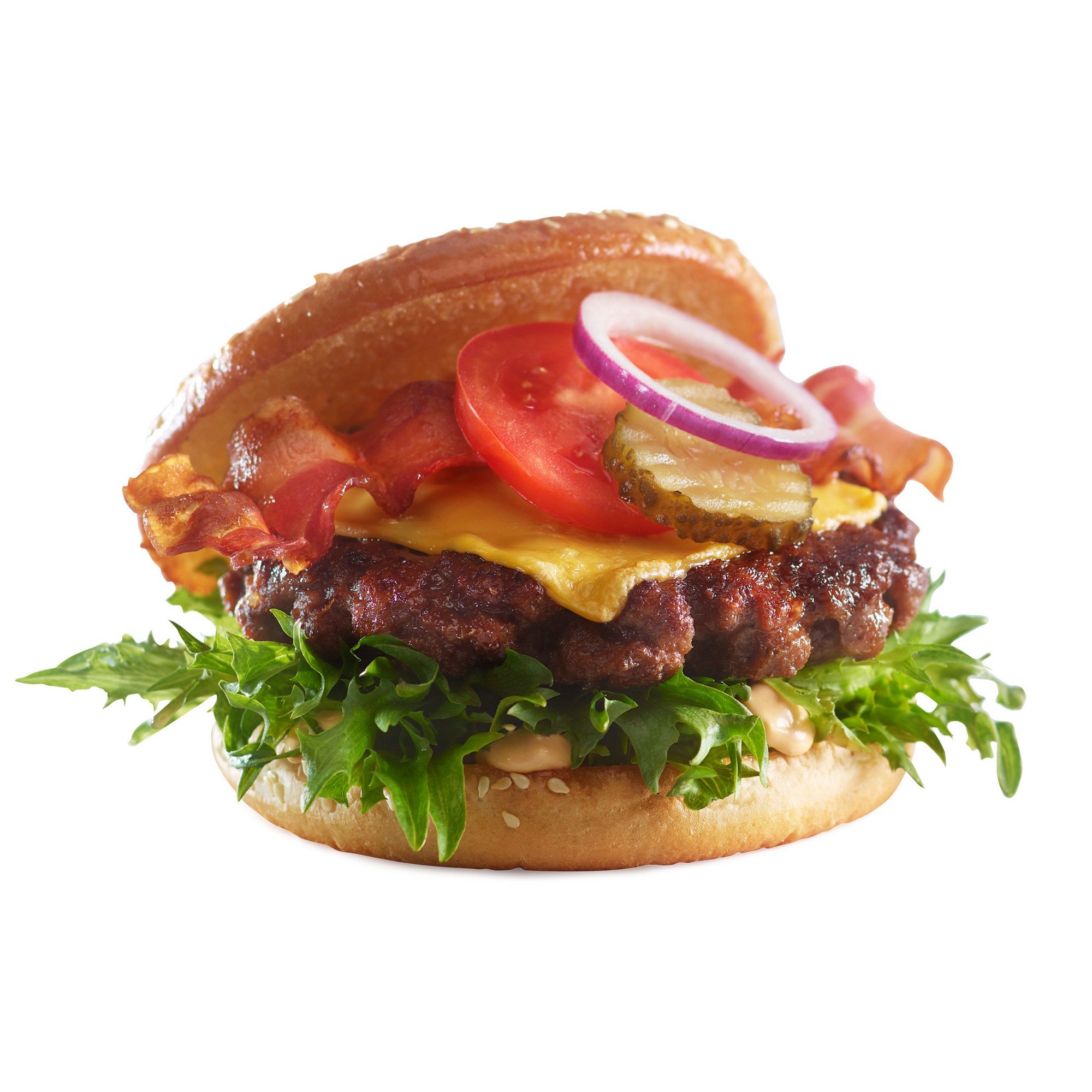 Hamburger homestyle 30x170g    5,1kg