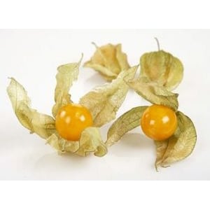 Physalis     kurv