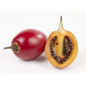 Tamarillo       stk