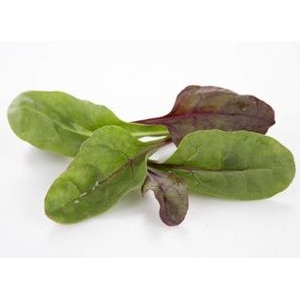 Red rhubarb salat 100g  pk