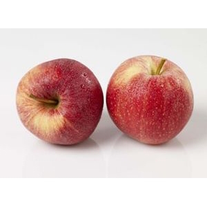Epler røde økologisk   400g