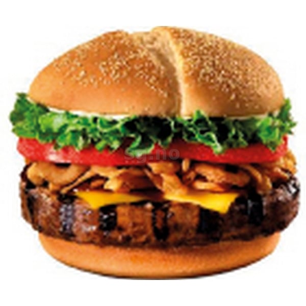 Vegetar burger grillet   26x100g