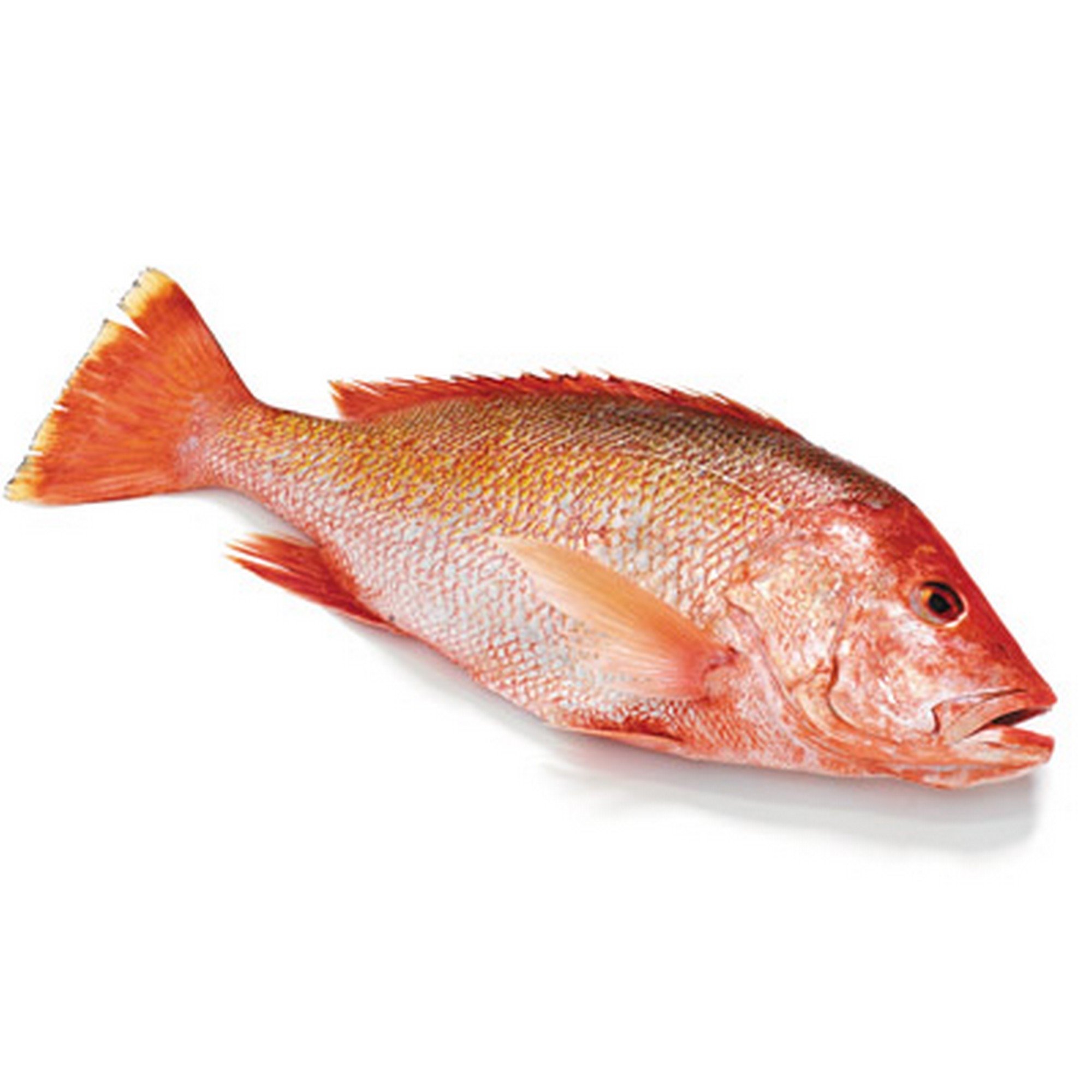 Red snapper hel         1kg