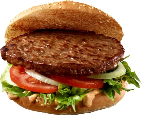 Halal hamburger  33xx160g