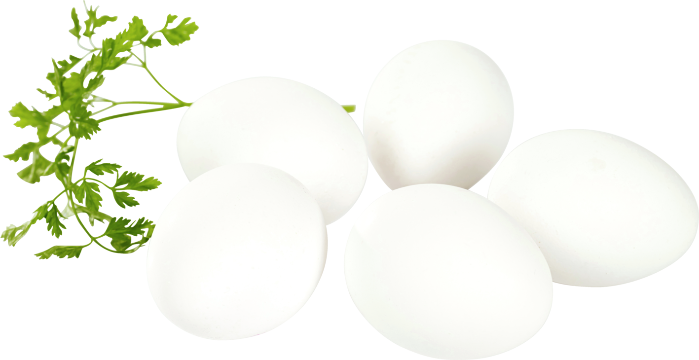 Egg 30 ml miljø 8x30stk  15,12kg