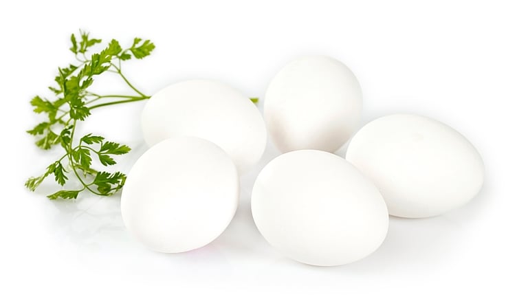 Egg mlxl 30 økol.   15,2kg