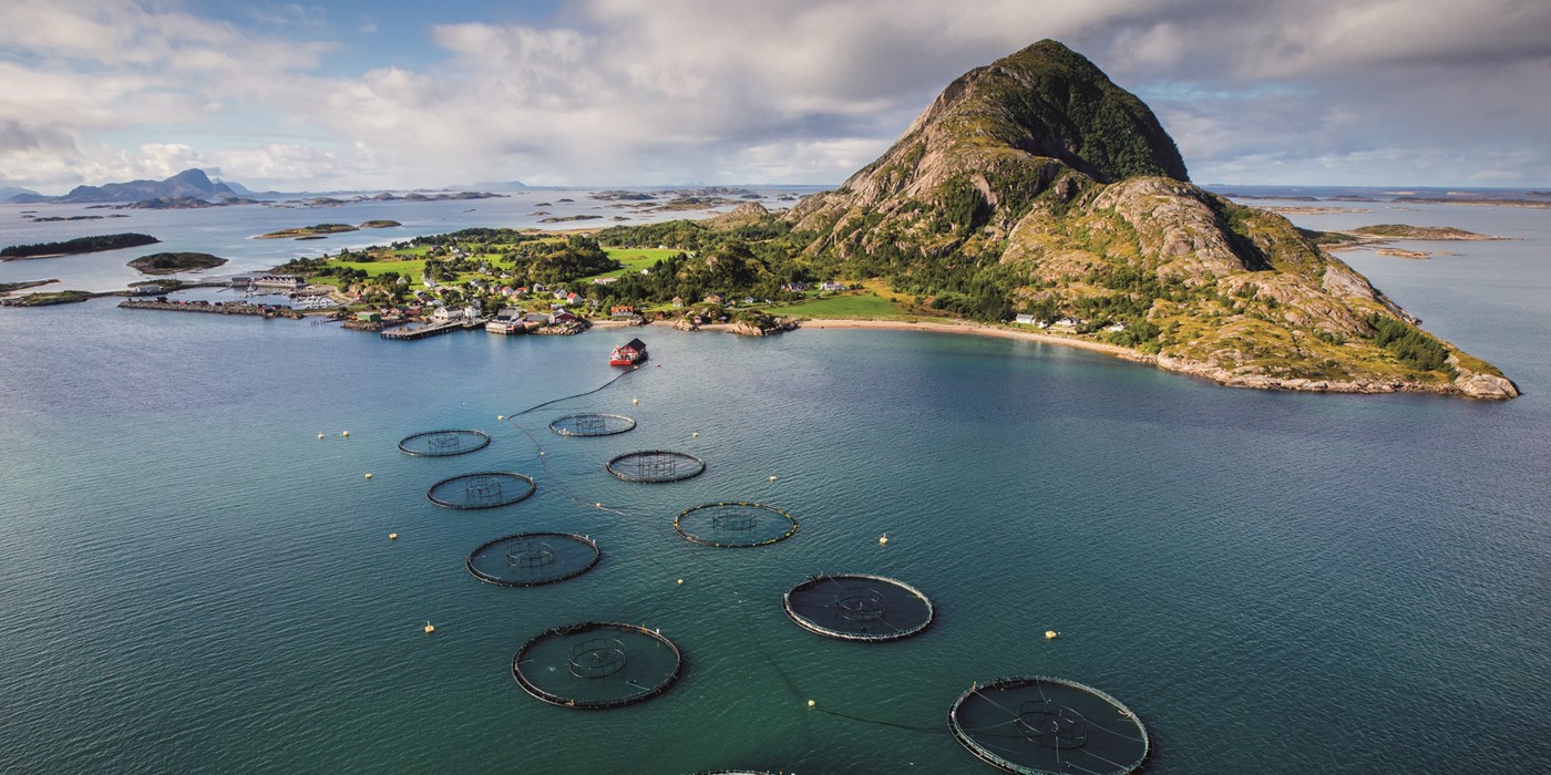Nova Sea – Lakseoppdrett sikrer et levende kystsamfunn